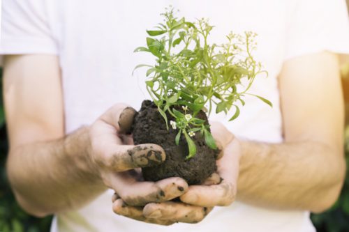 Les ateliers Jardinage à la Villa Fleurie