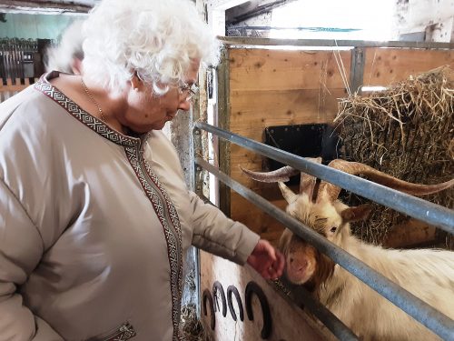 Sortie à la ferme d’Ecancourt.